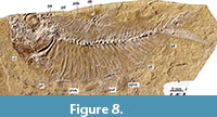 s figure8