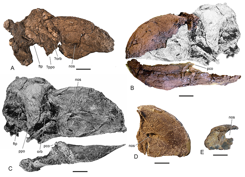 figure2