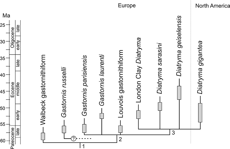 figure6