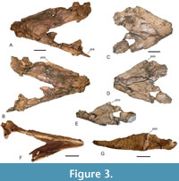 s figure3