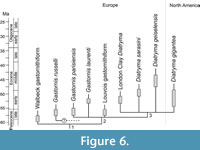 s figure6