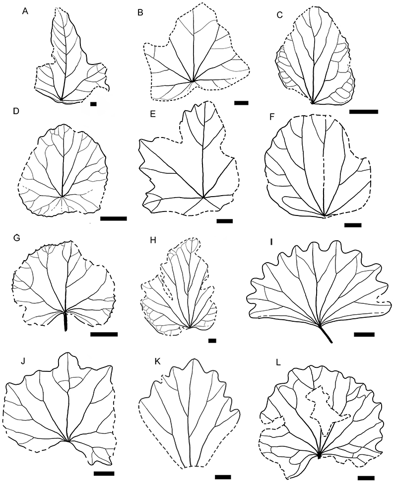 figure4