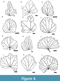 s figure5