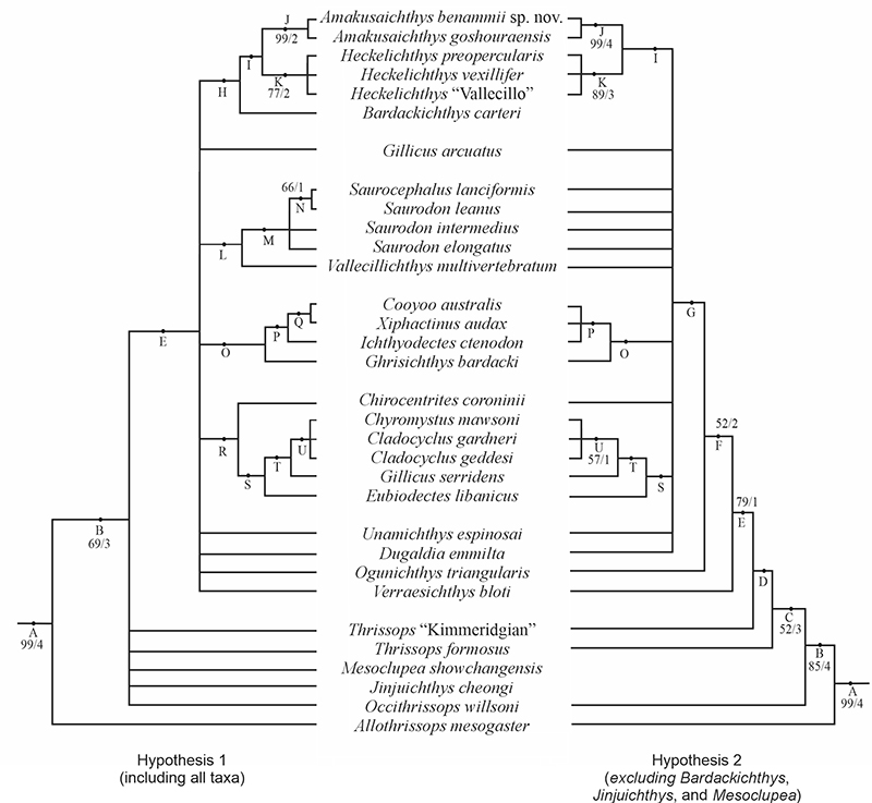 figure16