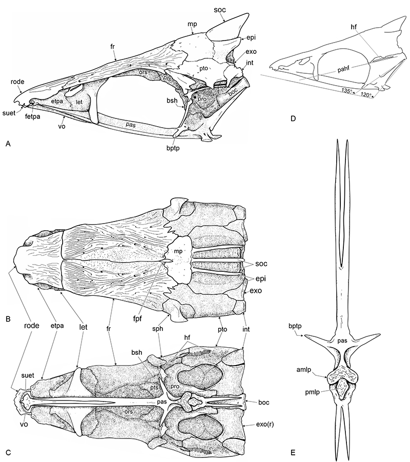 figure7