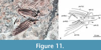 s figure11