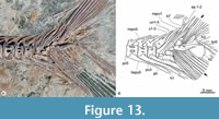 s figure13