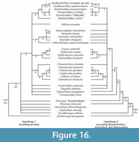 s figure16