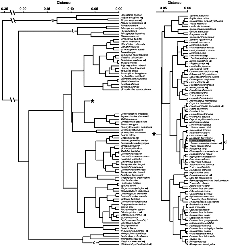 figure2