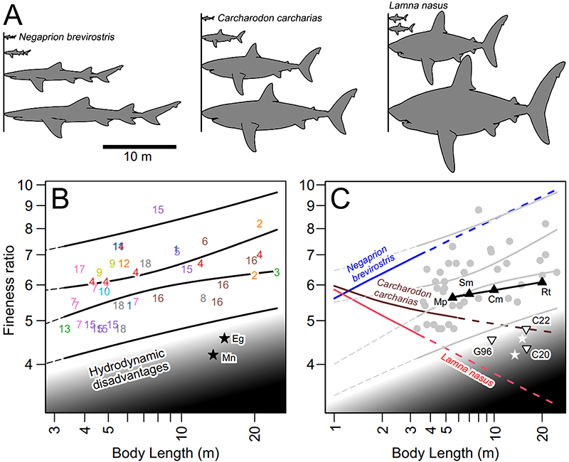 figure4