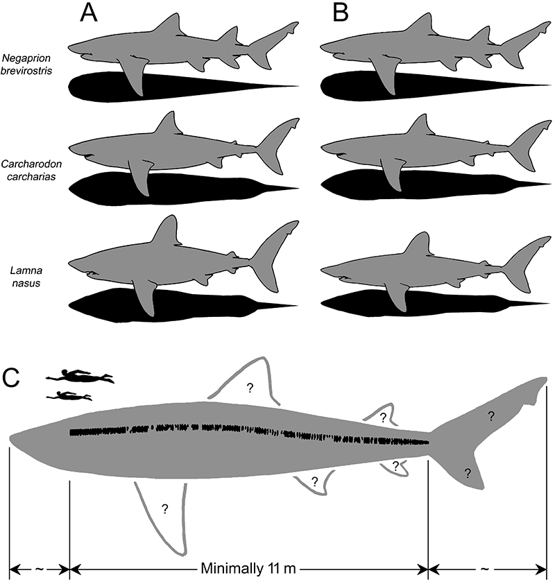 figure5