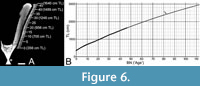 s figure6