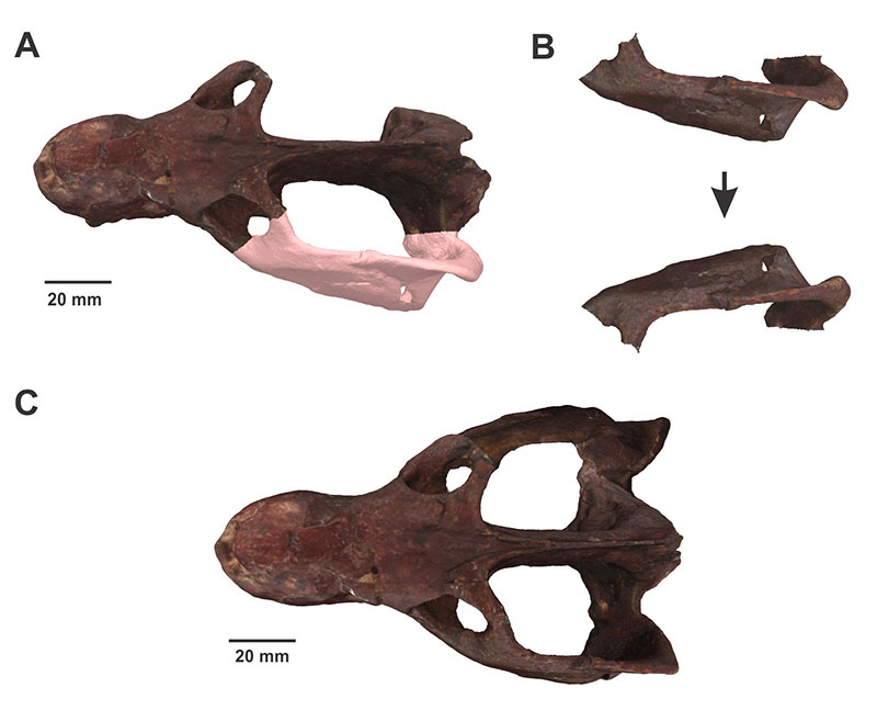 figure1