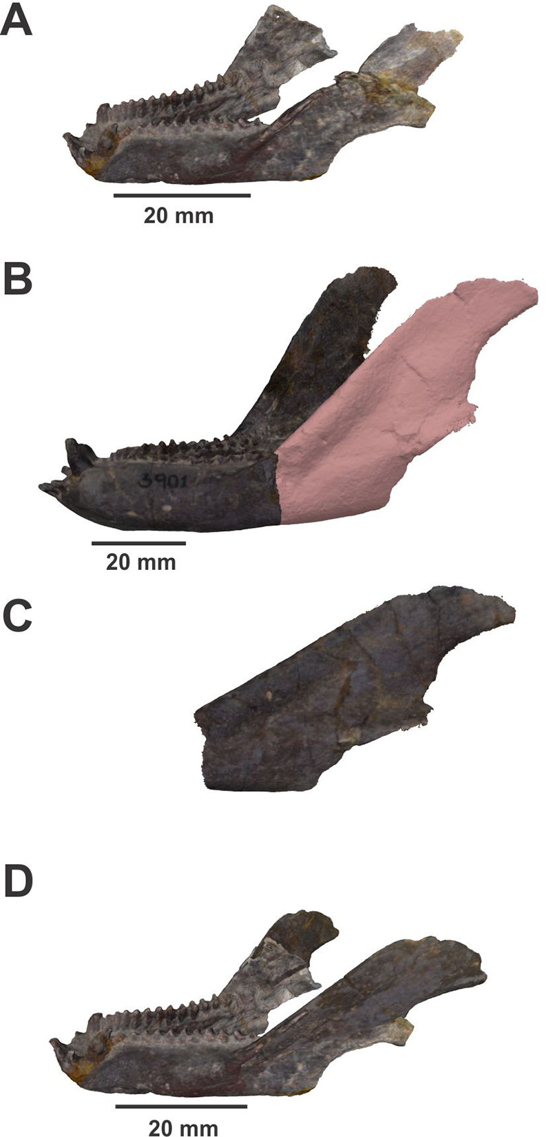 figure2