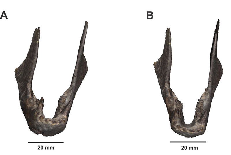 figure3