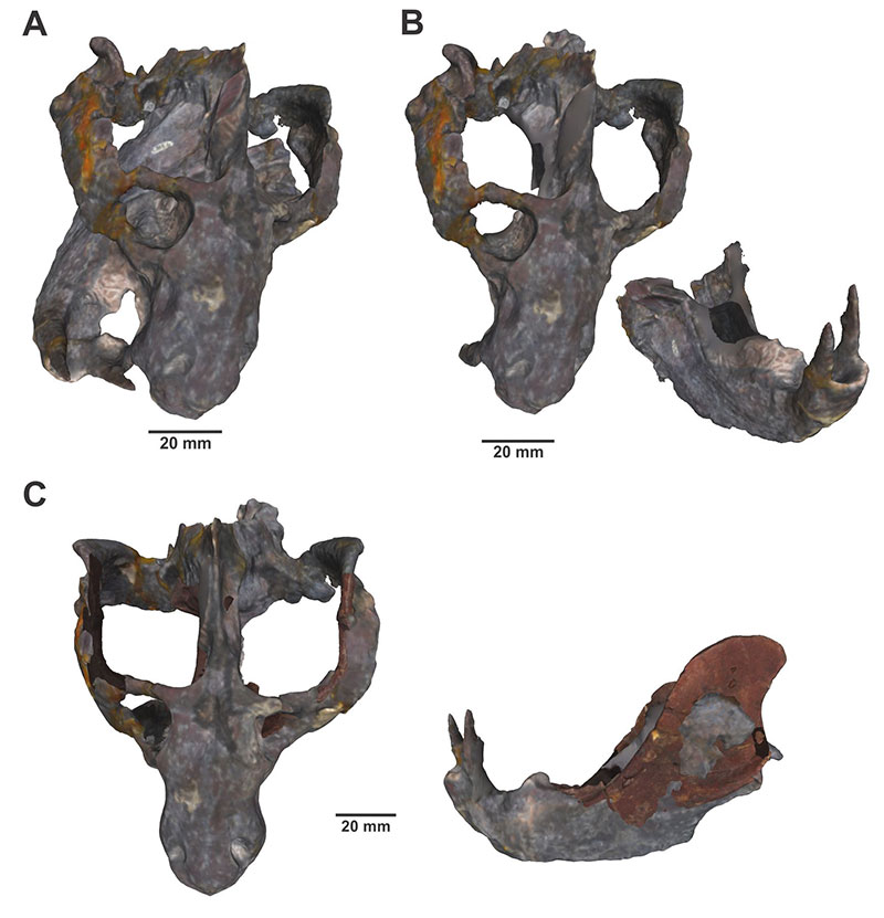 figure4