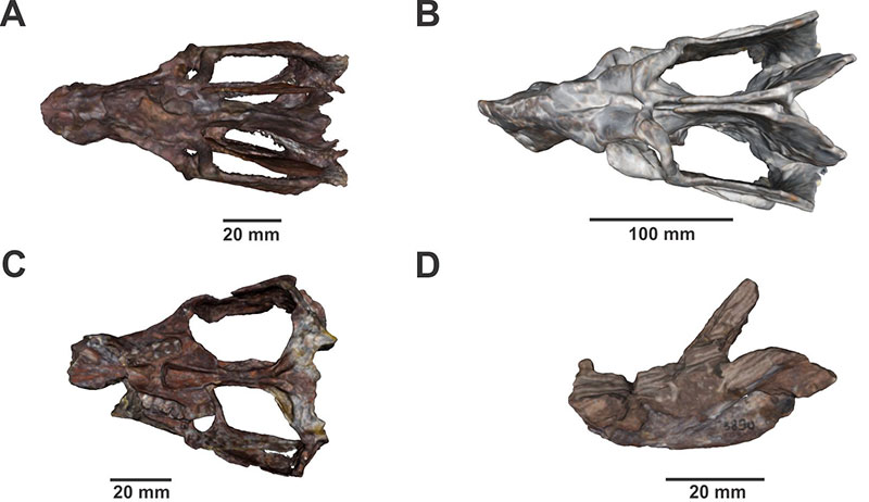 figure5