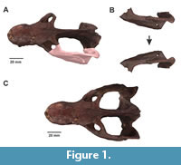s figure1