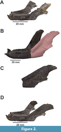 s figure2