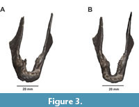 s figure3