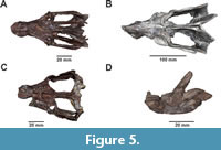 s figure5