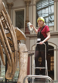 author amy