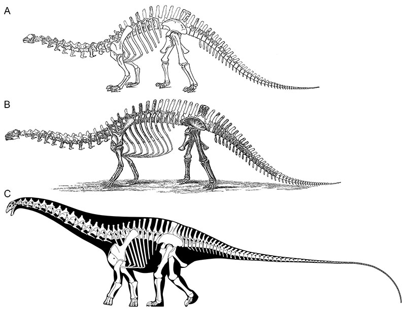 figure2