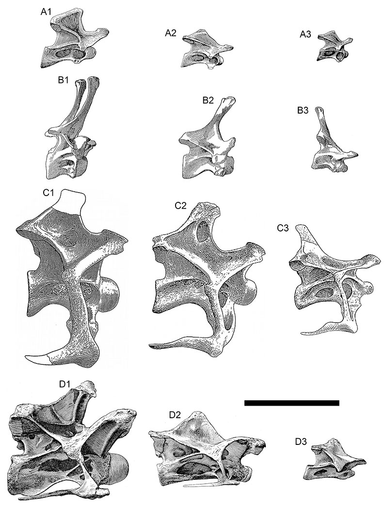 figure3
