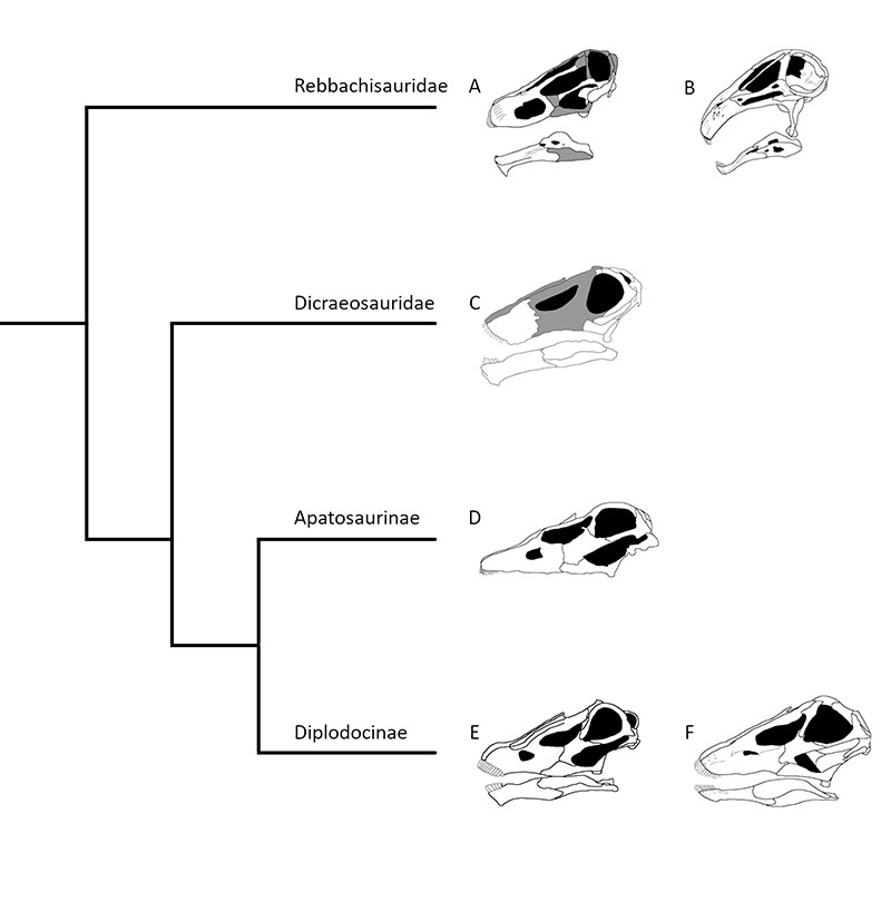 figure4