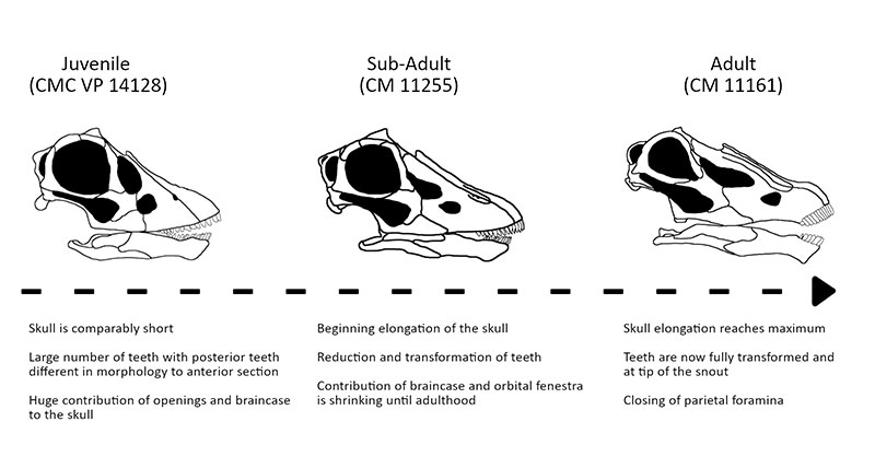 figure5
