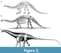 s figure2