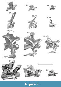 s figure3