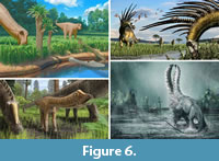 s figure6