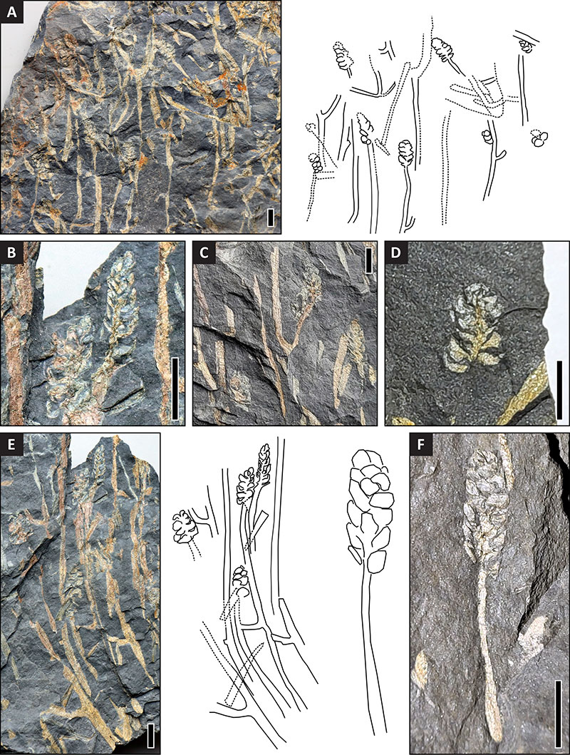 figure2