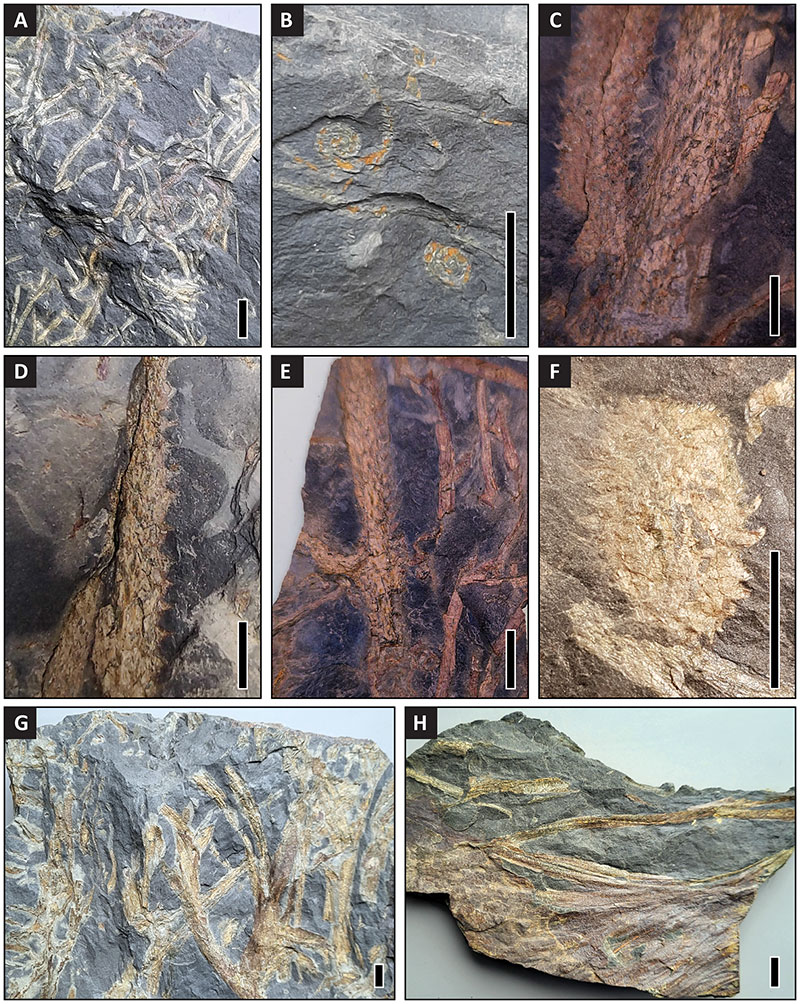 figure3