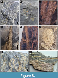 s figure3