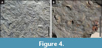 s figure4
