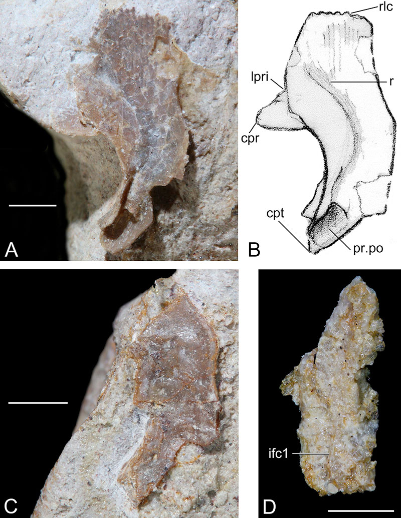 figure1