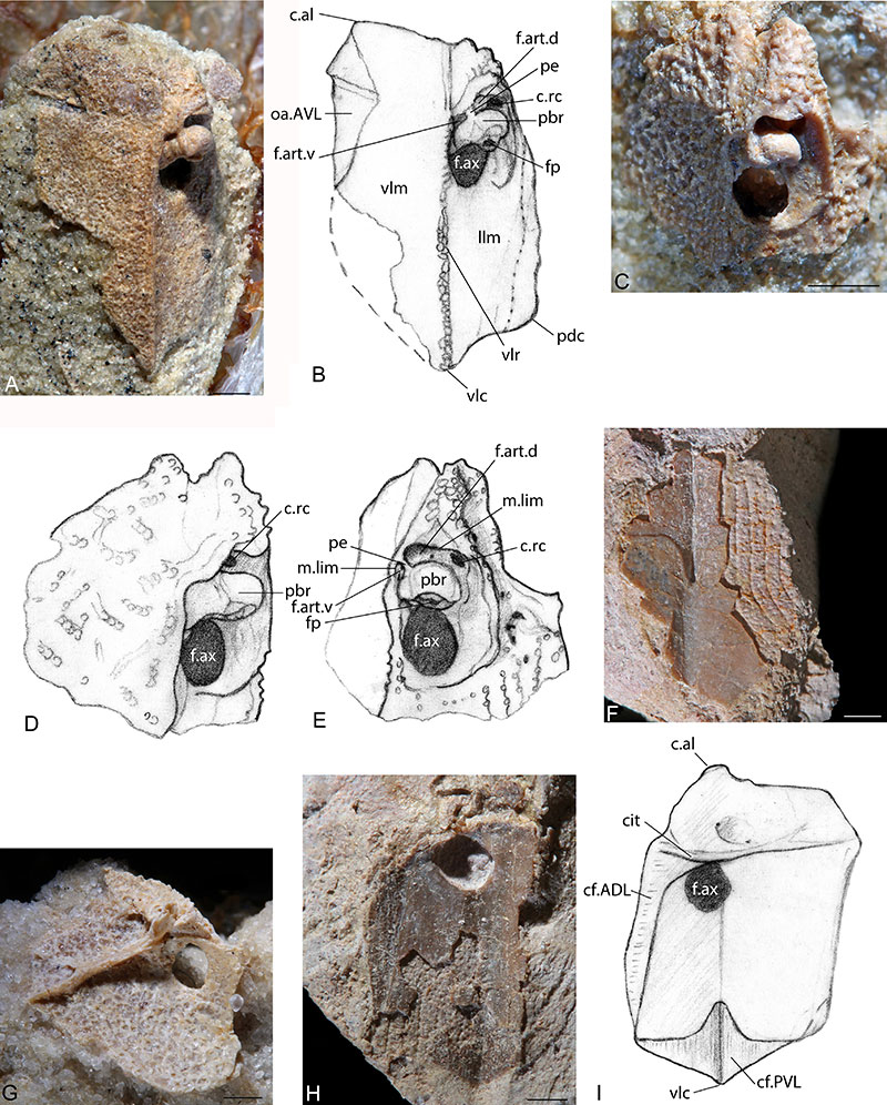 figure10