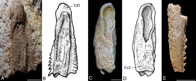 figure12