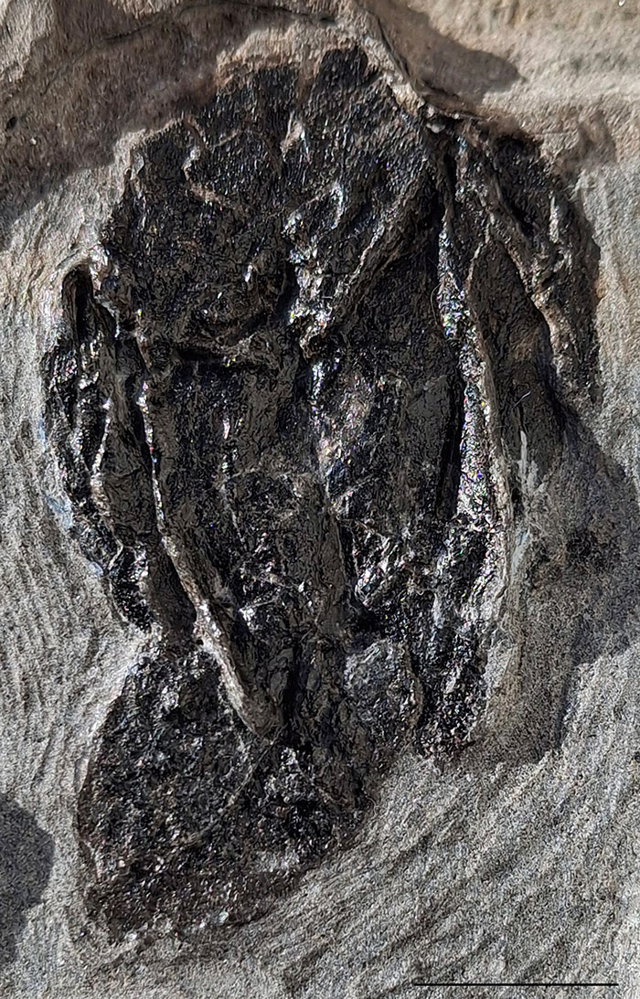 figure13