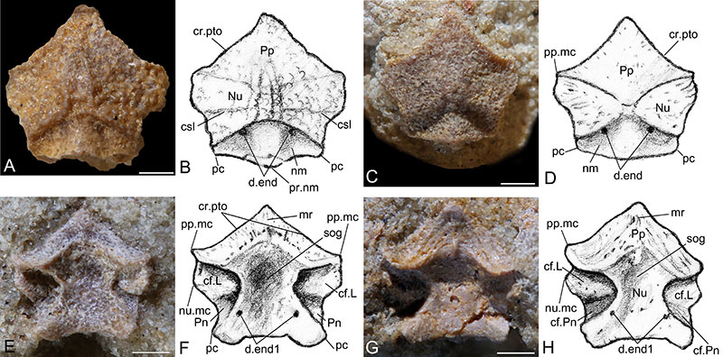 figure2