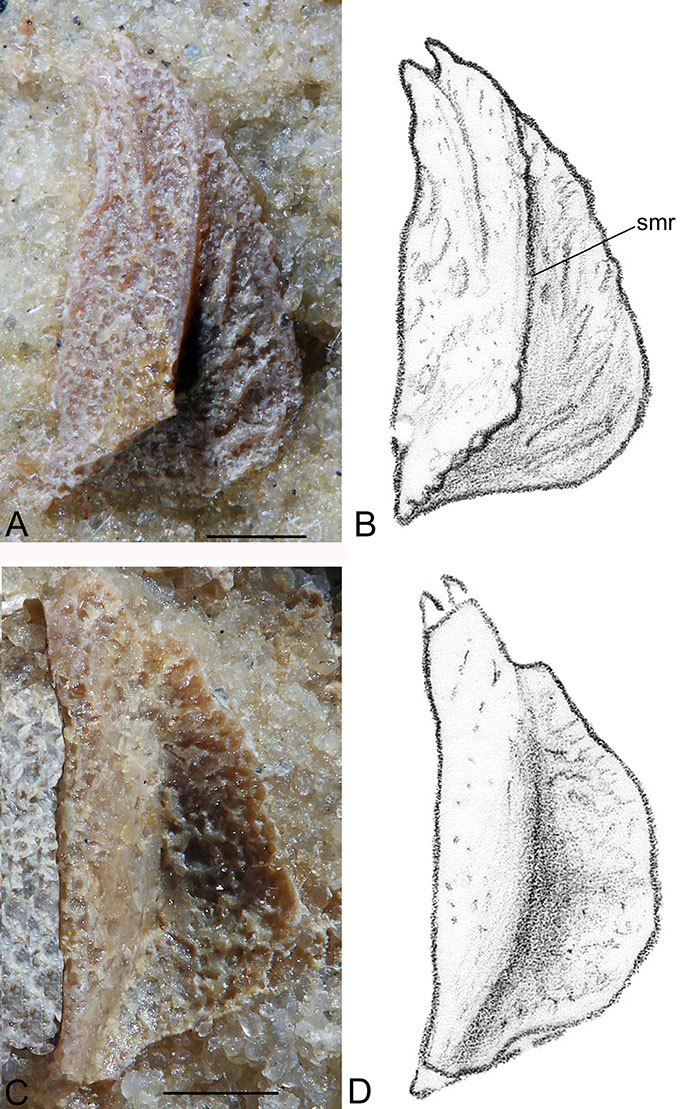 figure3