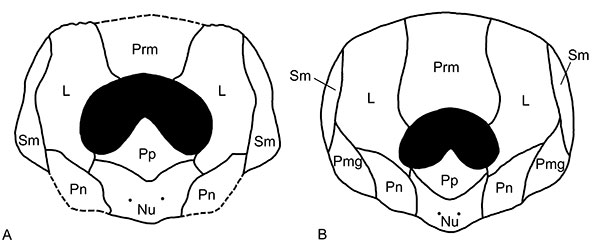 figure4