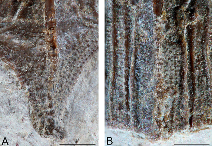figure7