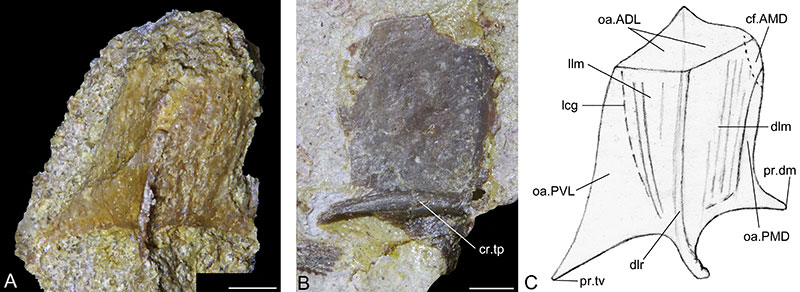 figure9