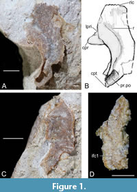 s figure1