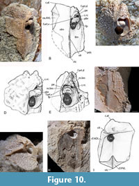 s figure10