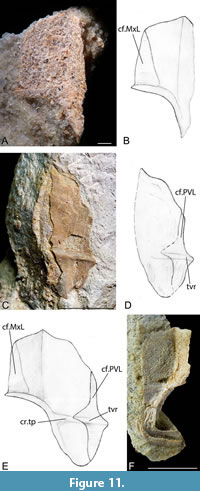 s figure11