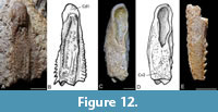 s figure12
